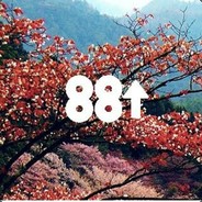 88 rising