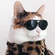 TiGE