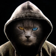 CoolCat