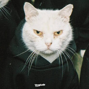 qqban1996