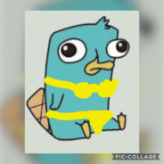 BOT AN