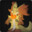 Group Avatar