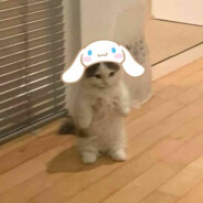CinnaMinaa