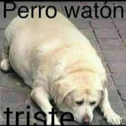 Gato Triste