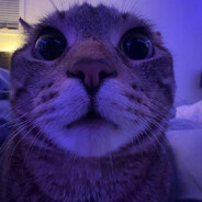 krzysiuszef™ @bandit