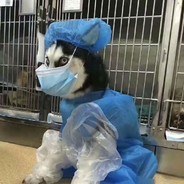 宝儿姐是我的