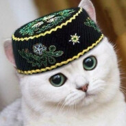 КОТ АКБАС