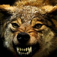 Feel_the_kill