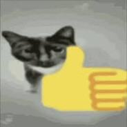 cat.