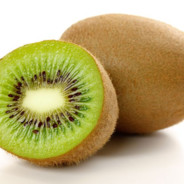 Le kiwi est palpable