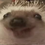 RuskiyAmlet