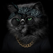 Mr.CaT 2.0