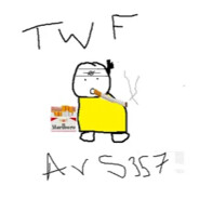 Ars357
