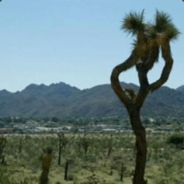  [ Steam Profile ] 