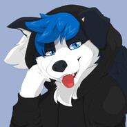 Ray_Collie