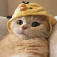 Akinbeef