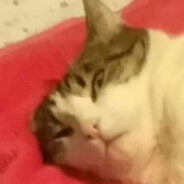 rd