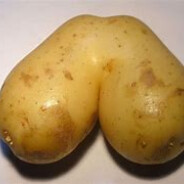 PotatoMonster069
