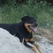 aditza
