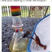 Axolotl
