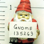 zookthegnome