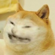 RegularDoggo
