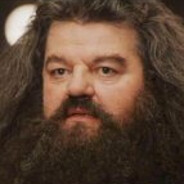 Headshot Hagrid