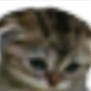 дубащитбл