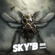 SKY'B