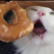 miiksro