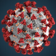 KORONOVIRUS