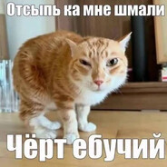 Аватар в стиме