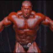 Jay Cutler