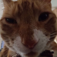 monty