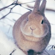 Bunni