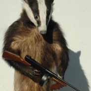 Badger