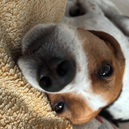 Sir Lejington avatar