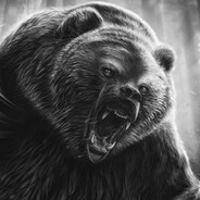 Negative_Bear