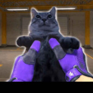 [kda9]cat_cs2
