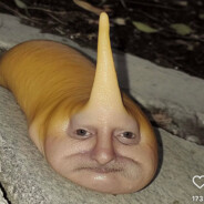 Gooch