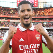 Saliba2