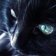 Crazycat