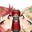 Group Avatar