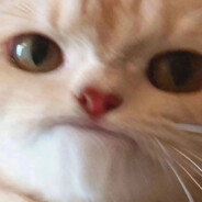 juju