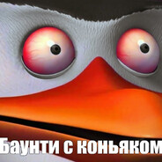 Шкипер