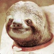 Space Sloth