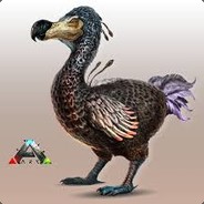 MR.Dodo