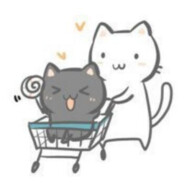 菜园小猫