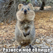 ༼ つ ◕_◕ ༽つ Я влетаю на бит