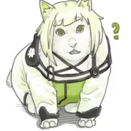 老猞猁
